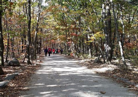 Guide To Seoraksan National Park Nearby Attractions