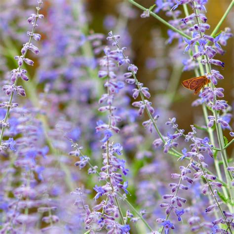 How to Fix Noisy Shower Pipes and Stop the Banging Noise