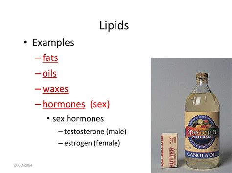 Macromolecules You Are What You Eat Ppt Download