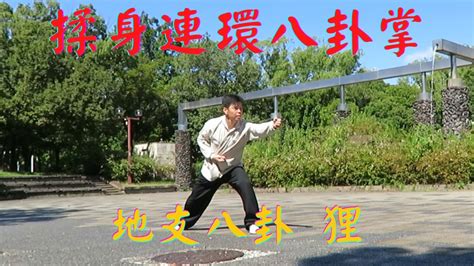 Palms Form Li Gao Style Baguazhang Youtube