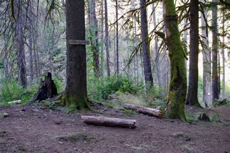 Eagle Creek Lower Punch Bowl Trail Junction Hiking In Portland