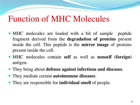 Major Histocompatibility complex