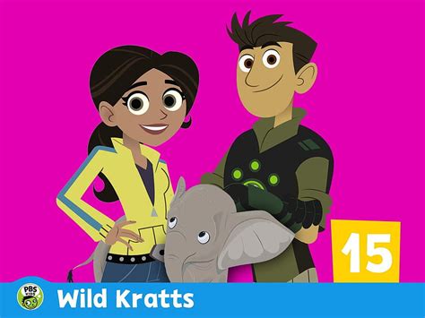 Wild Kratts Lion Around Taie Doreiller Overstock Ca · En Rupture De