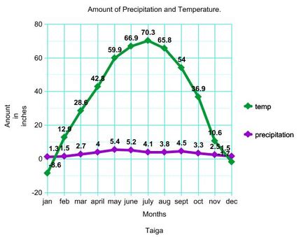 Precipitation - The Taiga