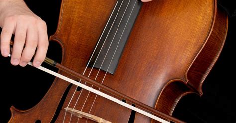 stock photo  bowed string instrument cello cello bow