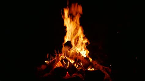 Campfire Background Stock Footage Video Shutterstock