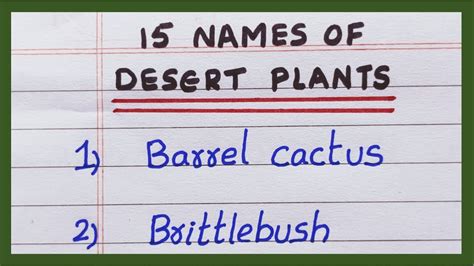 Names Of Desert Plants In English Desert Plants Names List