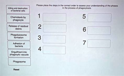 SOLVED Please Place The Steps In The Correct Order To Assess Your