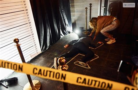 common types  crimes  usa