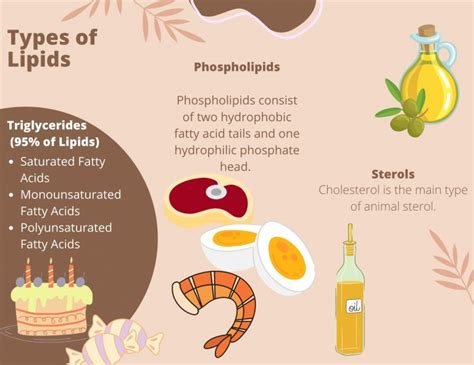 Introduction Nutrition And Physical Fitness