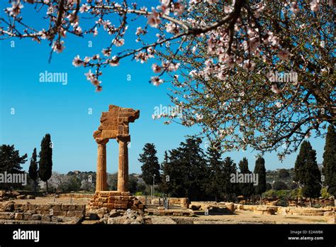 Italie Sicile Agrigente Inscrite Au Patrimoine Mondial De L UNESCO