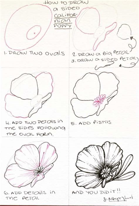 the steps to draw flowers with markers