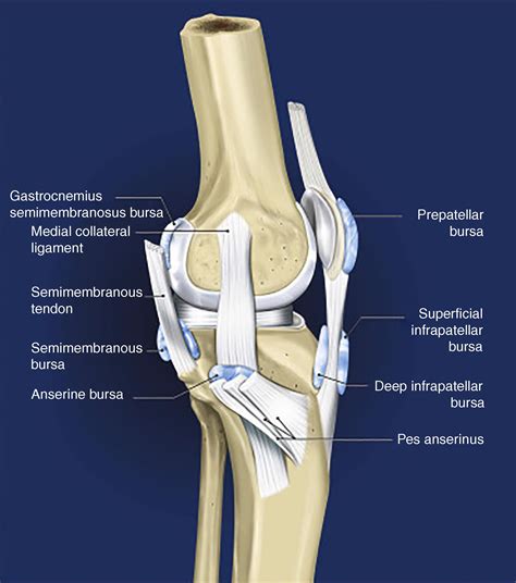 Deep Infrapatellar Bursa Injection Clinical Tree