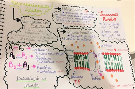 Mapa Mental De Transporte Atraves Da Membrana Biologia Celul Mapa Images