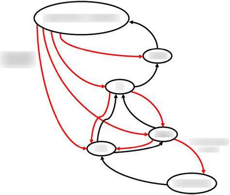 14 22 Descending Efferent Projections Auditory Pathway Diagram Quizlet