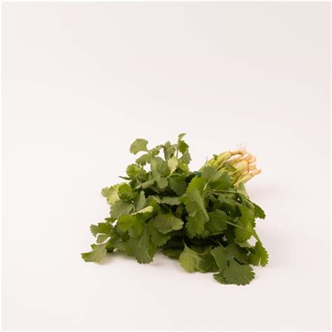 Coriander Fresh Bunch – Second Ave Grocer