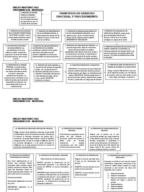 Mapa Conceptual Principios Procesales Completo Pdf Ley Procesal