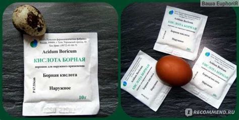 Борная кислота от тараканов: рецепты с яйцом и мукой, пропорции ...