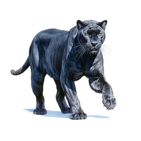 Premium Ai Image Painting Of A Black Panther Walking On A White