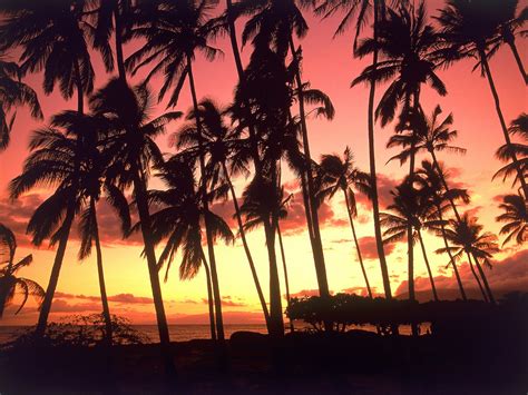 Hawaiian Sunset Wallpaper - WallpaperSafari