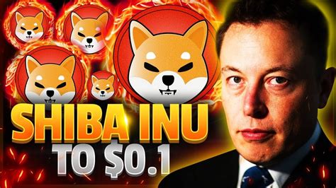 What Elon Musk Just Revealed About Shiba Inu And Why SHIB Will Hit 0 1