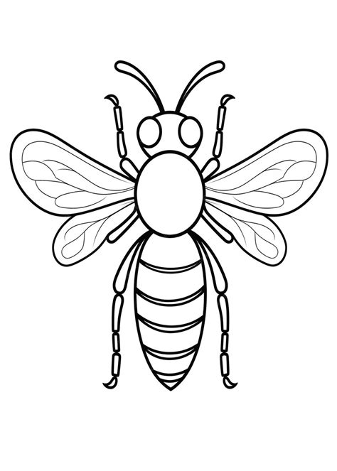 Bee Coloring Page Honey Bee Line Art Coloring Page Bee Outline