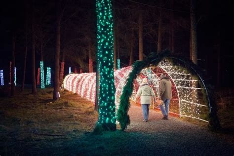 This Magical Winter Walk in Oregon Features One Million Lights