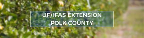 Ufifas Extension Polk County