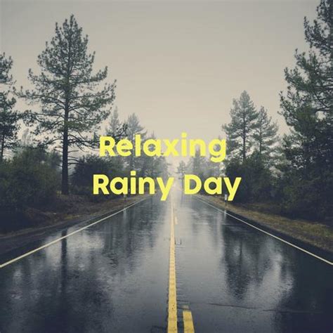 Relaxing Rain Sounds For Sleep Focus And Study By Rain Sounds And Nature