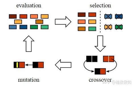 一文读懂遗传算法工作原理（附python实现） 知乎