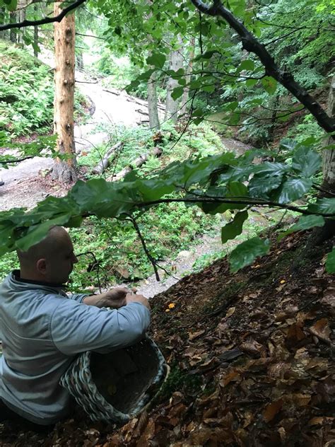 IMG 1b7effe0c012464f84e3efabfd33fe09 V hosted at ImgBB — ImgBB 