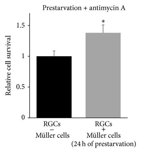 Prestarved M Ller Cells Promote Rgc Survival During Mitochondrial