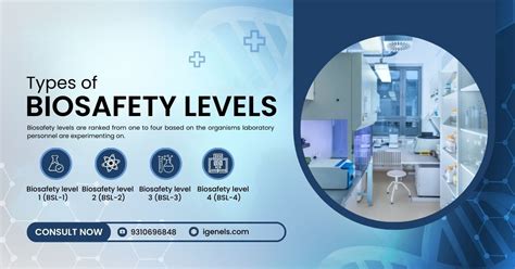 Do You Know The Types Of Biosafety Levels Igene Labserve