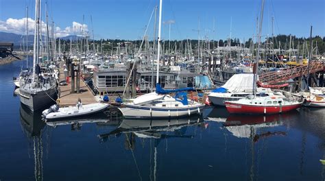 Visita Comox El Mejor Viaje A Comox Columbia Británica Del 2024