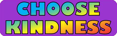 10in x 3in Purple Choose Kindness Bumper Sticker Vinyl Stickers Car Decal