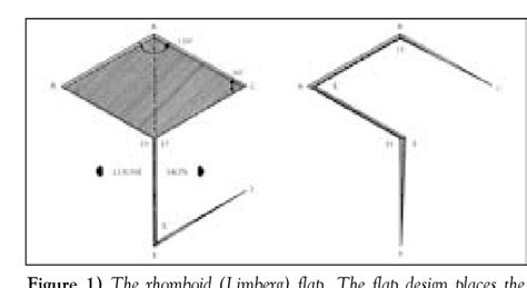 Figure 1 From The Versatile Rhomboid Limberg Flap Semantic Scholar