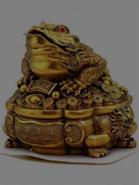 Benefits Of Feng Shui Frog At Home Houssed