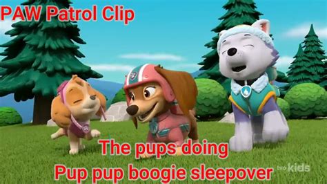 Paw Patrol Clip The Pups Doing Pup Pup Boogie Sleepover Youtube