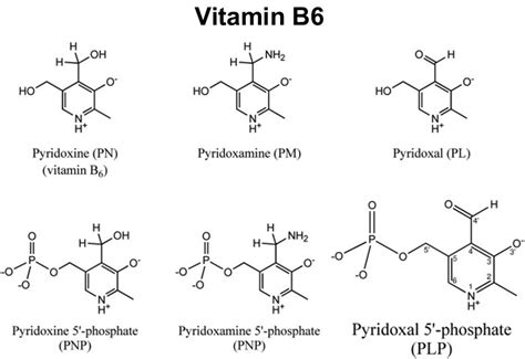 Pyridoxine Hydrochloride Uses Safety Side Effects