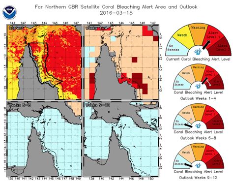 Losing the Pristine: Coral Bleaching strikes in North Great Barrier Reef | Coral Reefs Blog