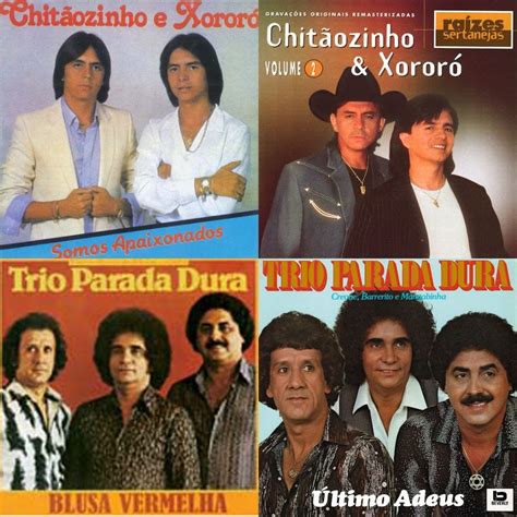 Sertanejo Anos 80