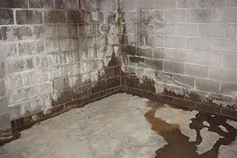 Solve Moisture Problems In Concrete Basements CretoSeal Basement