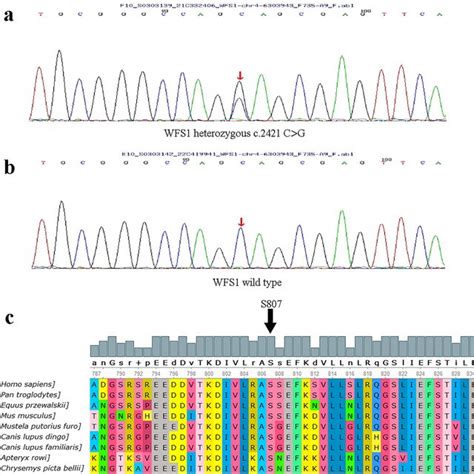 Mutation Detection And Conservation Analysis A Sequencing Results