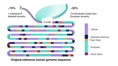 Human Genome Project Fact Sheet