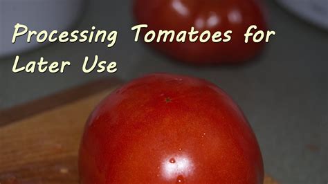 Processing Tomatoes For Later Use Freezing Youtube