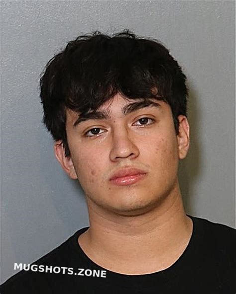 Medrano Johan Osceola County Mugshots Zone