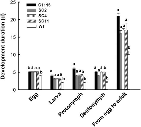 Duration Of Development Period In T Cinnabarinus Feeding On Different Download Scientific