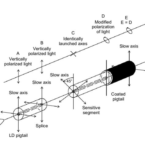principle  sensor function  high resolution scientific diagram