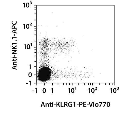 klrg antibody anti mouse miltenyi biotec india
