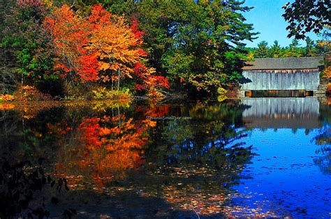 fall foliage - covered bridge (old sturbridge berkshires) | Covered ...